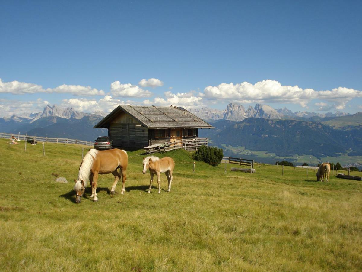 Tschoerlerhof Barbiano (Trentino Alto Adige) Exterior foto